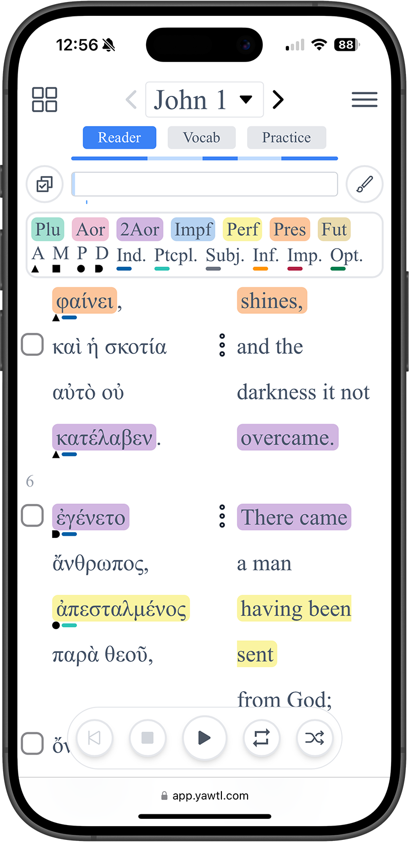 Highlighted Verbs Illustration